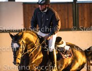 CAletto della Verdina TosTour2013- S5 3165 : Arezzo, Arezzo Equestrian Centre, Caletto della Verdina, Cavalli d'Italia, Toscana Tour 2013, foto di Stefano Secchi ©